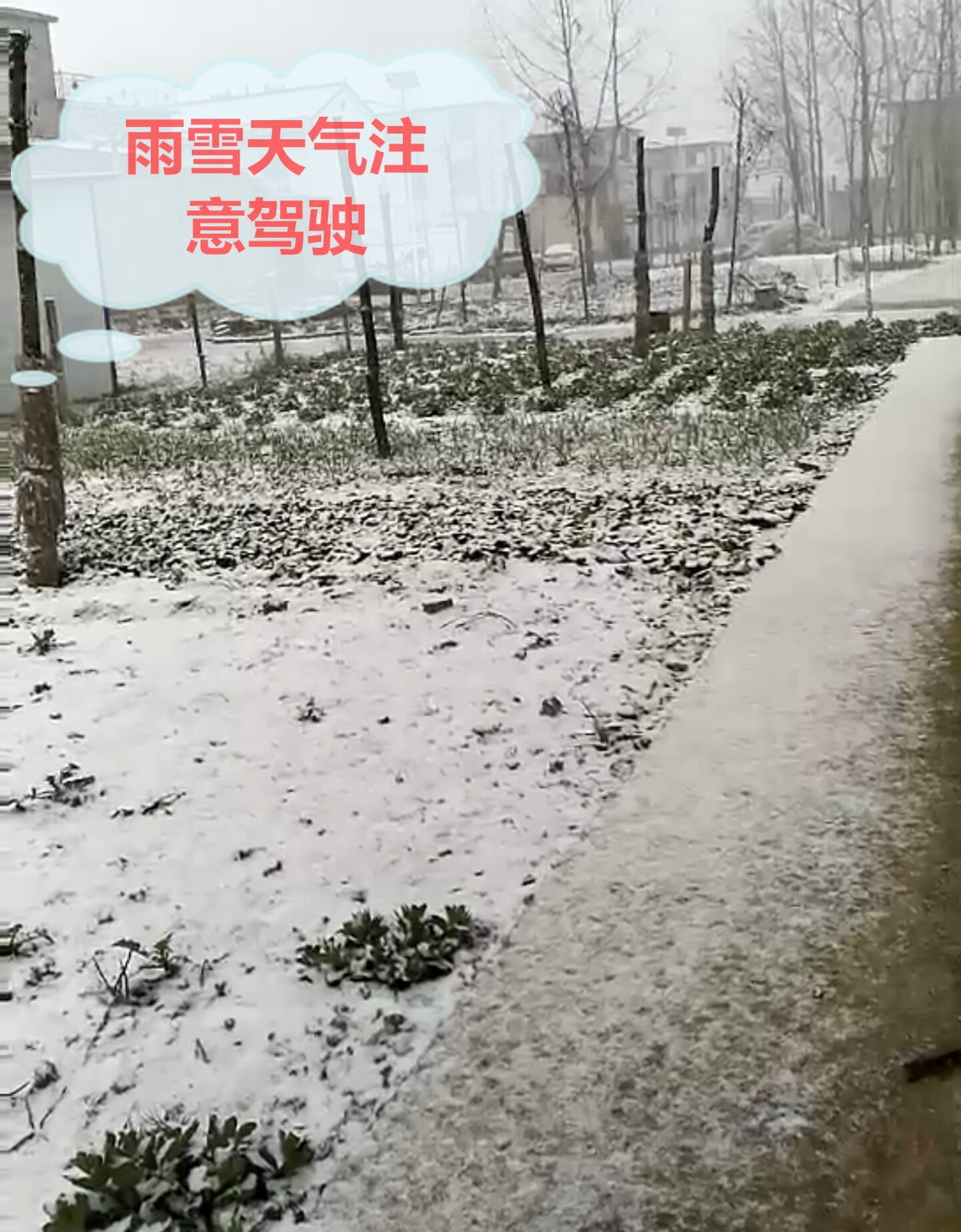 雪_看图王.jpg